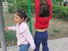 -大兴滨河森林公园