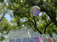 -共青国家森林公园-售票处