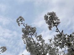 -龙美术馆(西岸馆)