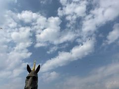 -白鹭湾湿地公园