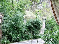 -草根堂农场
