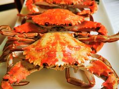 -宾朋美食海鲜餐厅·特色美食专访(兴海路店)