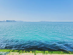 -悦海公园