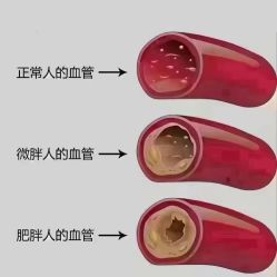 -名发世家烫染