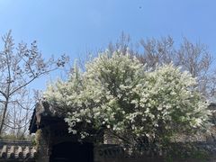-青州古城