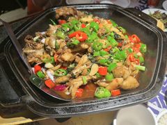 -蛙来哒(万豪城市广场黑金冠店)