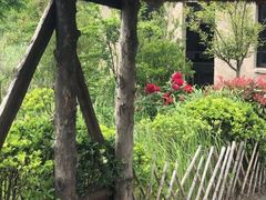 -盐城丹顶鹤湿地生态旅游区