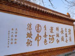 -桃花堤公园