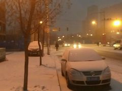 -白鹤大冷面