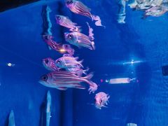 -华夏文旅西安度假区