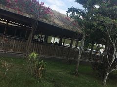 -亚龙湾国际玫瑰谷