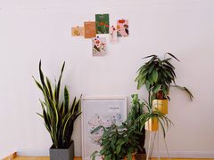 -隹木咖啡馆(宝龙广场店)