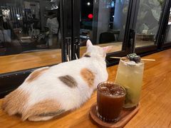 -转山咖啡(松柏社区店)