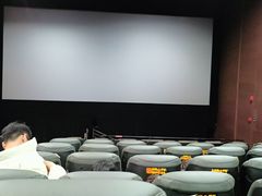 -上海金逸影城(静安大悦城店（原新恒星影城）)