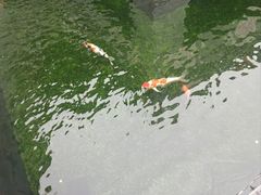 -长春观