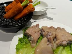 -丁老爷子苏香圆