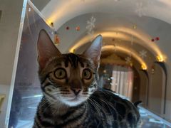 -Me Coffee下午茶艺术空间