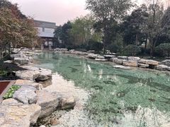 -青岛鑫江温德姆酒店