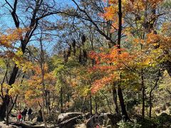 -玉渡山自然风景区