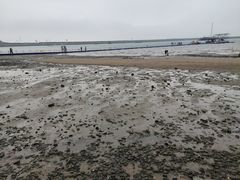 -在海一方公园