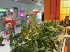 -全牛匠·乐山跷脚牛肉(西北旺万象汇店)