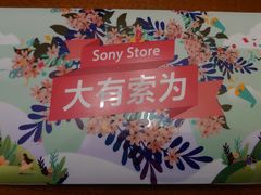 -Sony Store 索尼(来福士店)