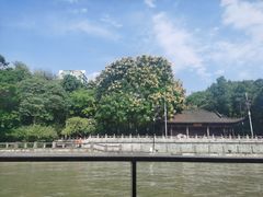 -运河游船(武林门码头)