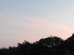 -坛南湾阿强农家乐.海鲜大排档老字号(福州地标美食店)