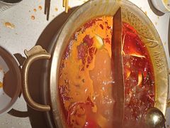 -小龙坎火锅(全球旗舰店)