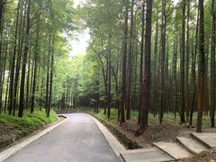 -山王坪喀斯特国家生态公园