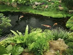 -罗红摄影艺术馆