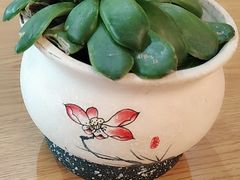 -德得轩韩式自助烤肉(兰花城店)