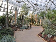 -北京植物园-展览温室