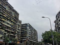 -黄桷坪涂鸦艺术街