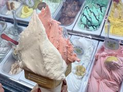 -柠檬车露(卖草地店)