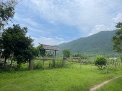 -开平碉楼文化旅游区马降龙景区