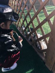 -萌宠亲子动物乐园(槐房万达店)