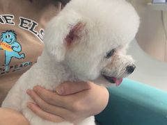 -创凡宠物医院·骨专科  猫科中心(西乡分院)