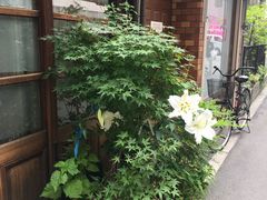 -心斋桥