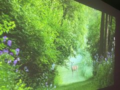 -观唐足道SPA养生会馆(南湖店)