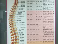-龙脊堂龙氏推拿 整脊(陆家浜店)