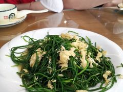 沙葱炒蛋-有家驴肉黄面(敦煌店)