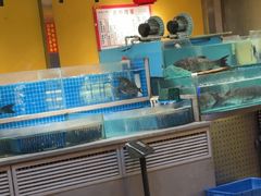 -钵家大院(大花岭店)