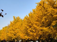 -玲珑塔公园