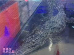 -海韵之星邮轮水会(明发商业广场店)