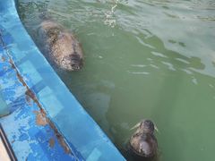 -北戴河圣蓝海洋公园