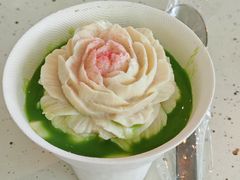-云溪植物园