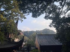 -灵顺寺