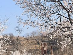 -水峪民俗村