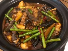 野生黄鳝煲-金锅小厨(乐活街店)
